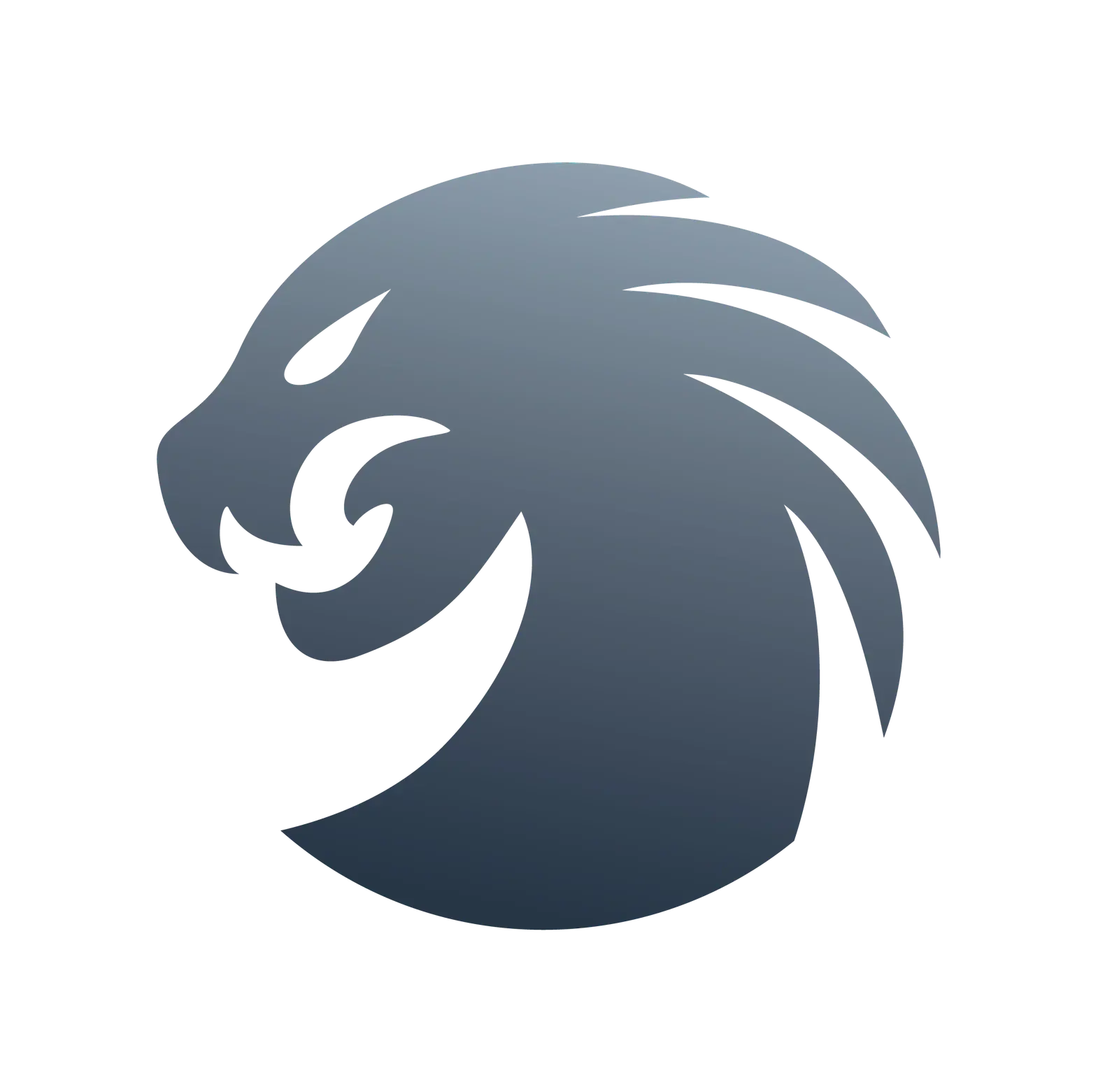 HydraTool ( 10 credits pack )